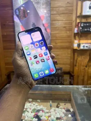 Apple iPhone 13 Pro Max (Used)