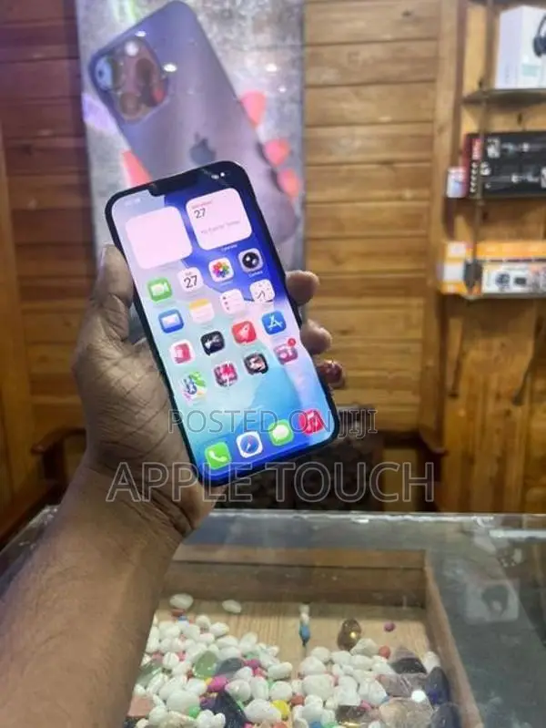 Apple iPhone 13 Pro Max (Used)