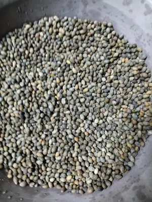 කුරුඳු බීජ