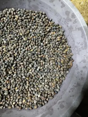 කුරුඳු බීජ