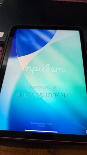 Apple iPad 10