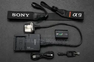 Sony Alpha A9 Mirrorless Camera