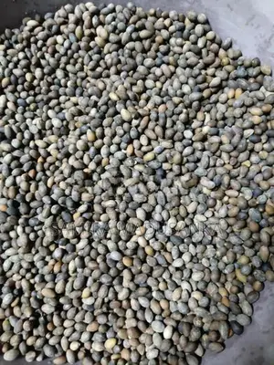 කුරුඳු බීජ
