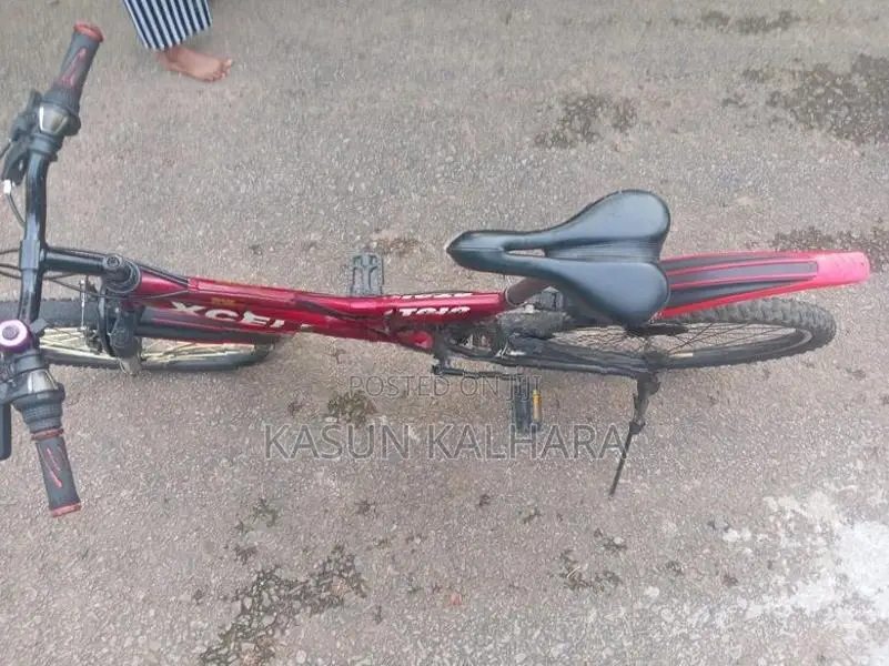 Bicycle