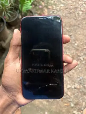 Apple iPhone 11 (Used)