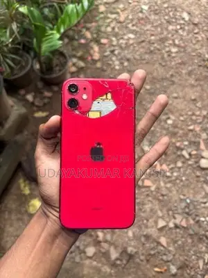 Apple iPhone 11 (Used)