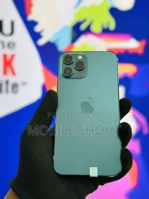 Apple iPhone 12 Pro Max (Used)
