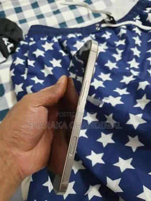 Apple iPhone 16 Pro Max (Used)