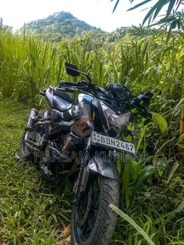 Bajaj Pulsar NS200 2016