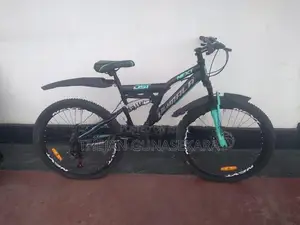 Lumala Next DST Bicycle