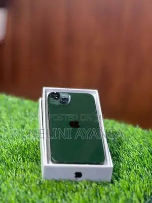 Apple iPhone 13 (Used)
