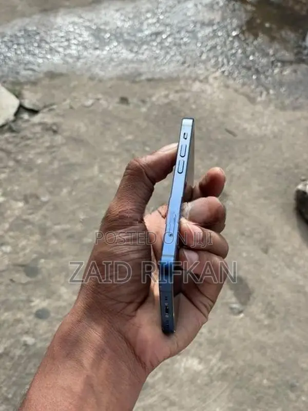 Apple iPhone 12 mini (Used)