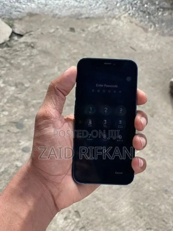 Apple iPhone 12 mini (Used)