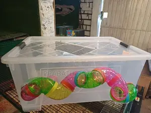 Hamster Cage Setup