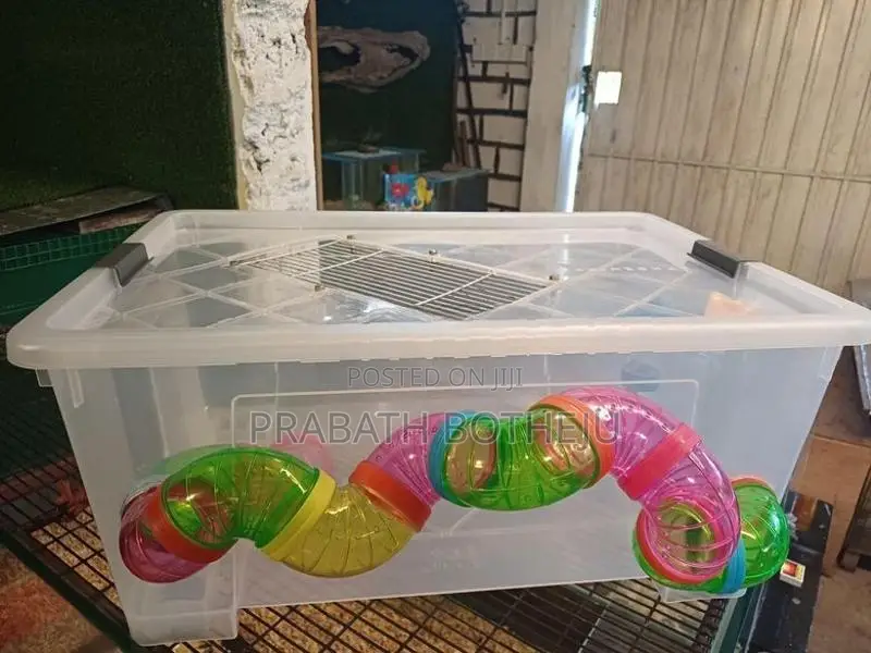 Hamster Cage Setup