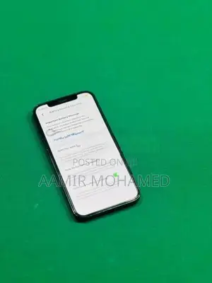 Apple iPhone 12 Pro 256GB (Used)