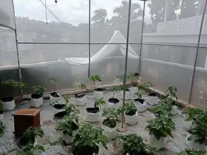 Green House