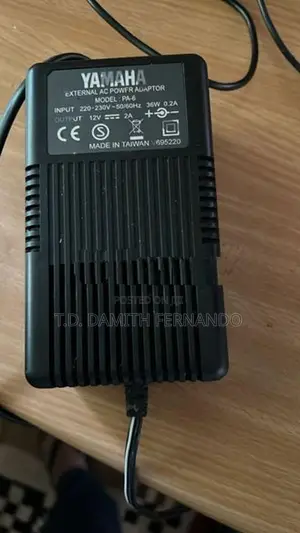 DS55 Synthesizer