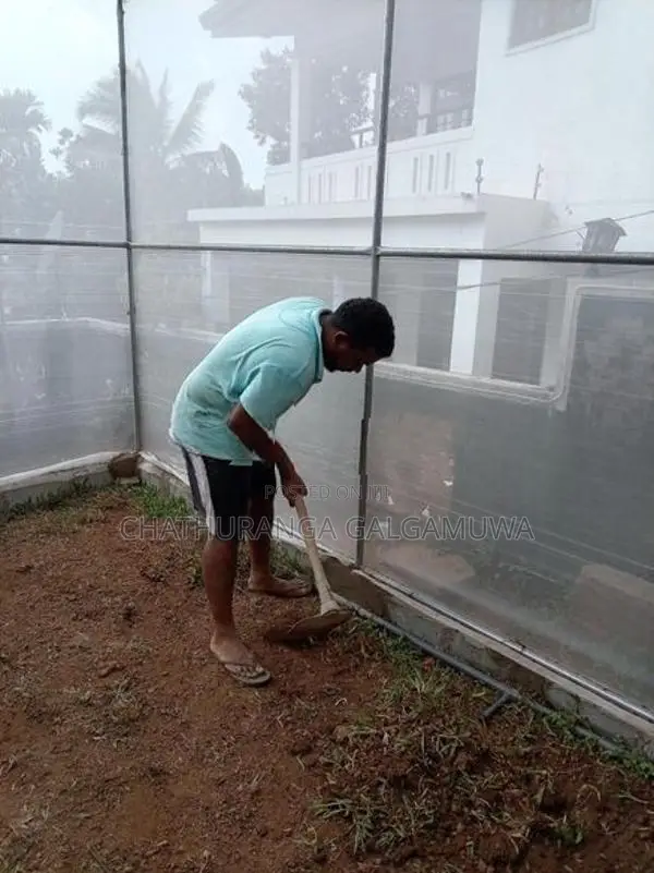 Green House