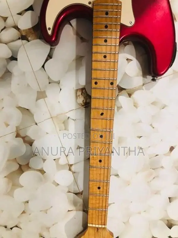 Kapok Electric Guitar