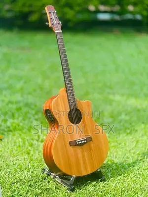 Laviere Semi Acoustic Guitar