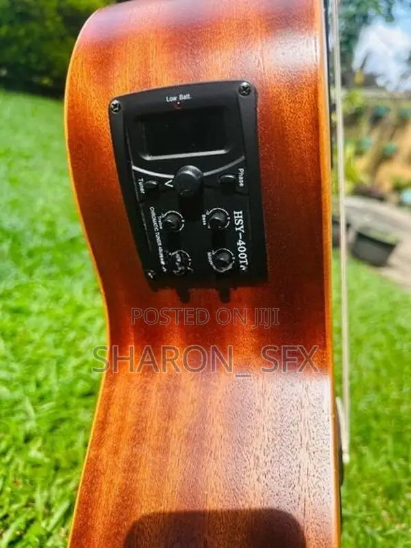 Laviere Semi Acoustic Guitar