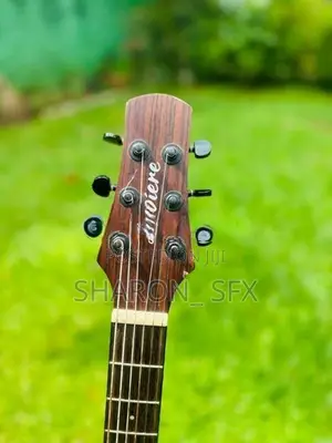 Laviere Semi Acoustic Guitar