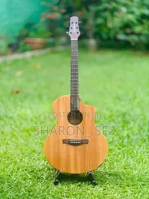 Laviere Semi Acoustic Guitar