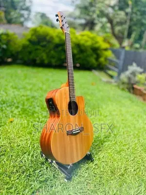 Laviere Semi Acoustic Guitar