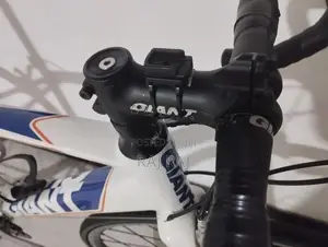 Giant Road Bike