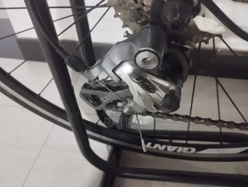 Giant Road Bike