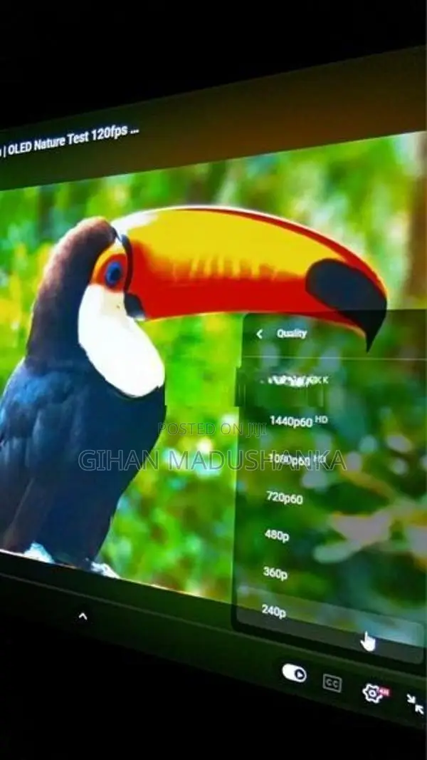 Optoma Projector