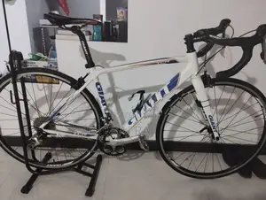 Giant Road Bike
