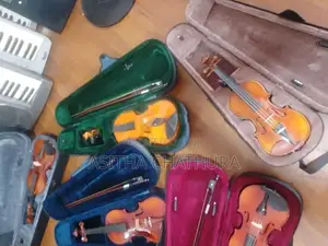 Violin