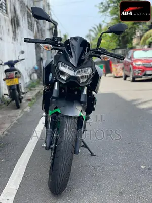 New Kawasaki 2025 Gray
