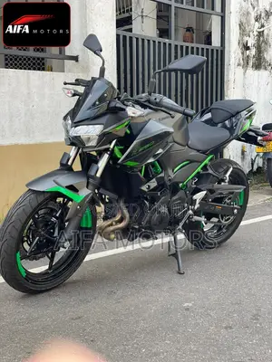 New Kawasaki 2025 Gray