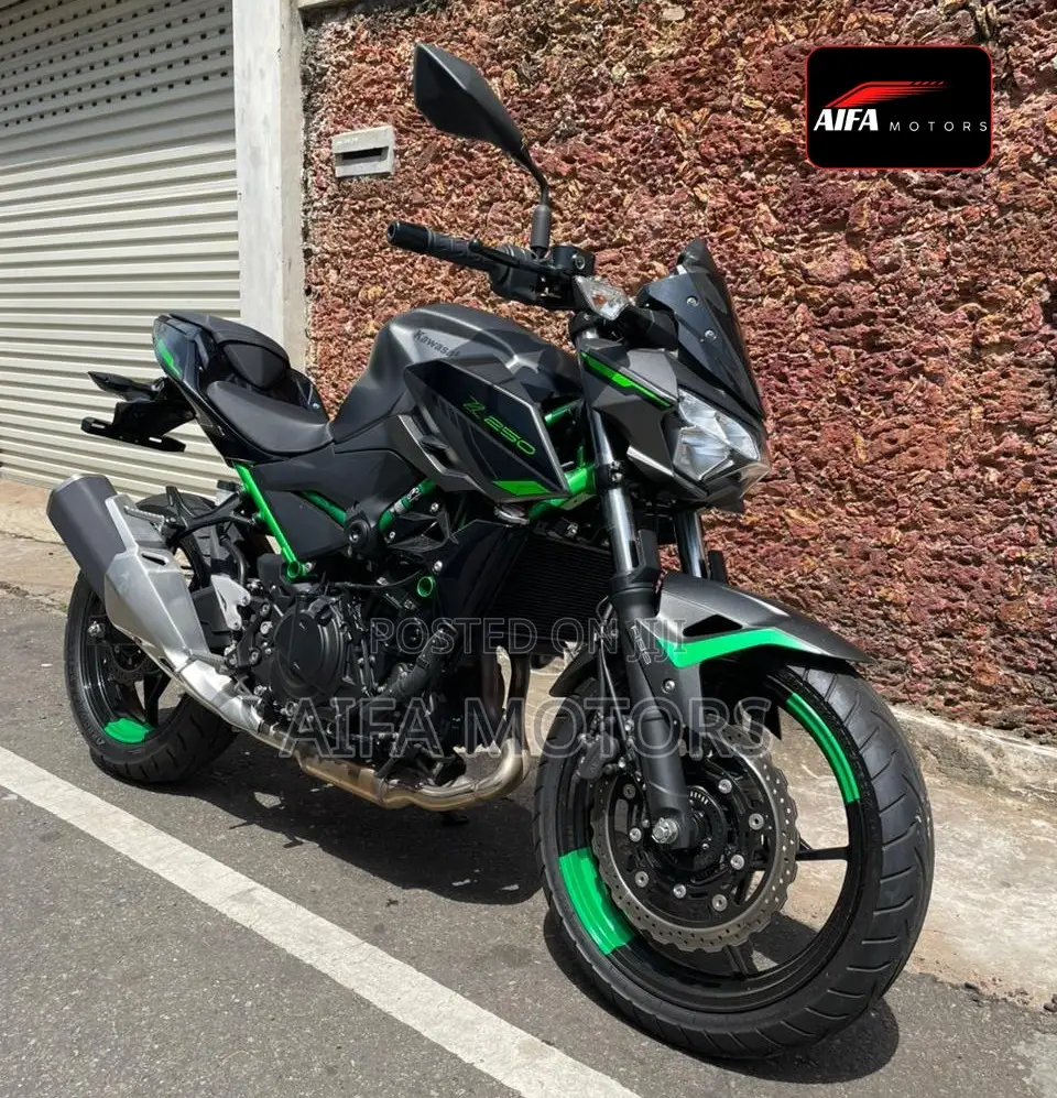 New Kawasaki 2025 Gray