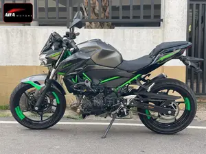New Kawasaki 2025 Gray