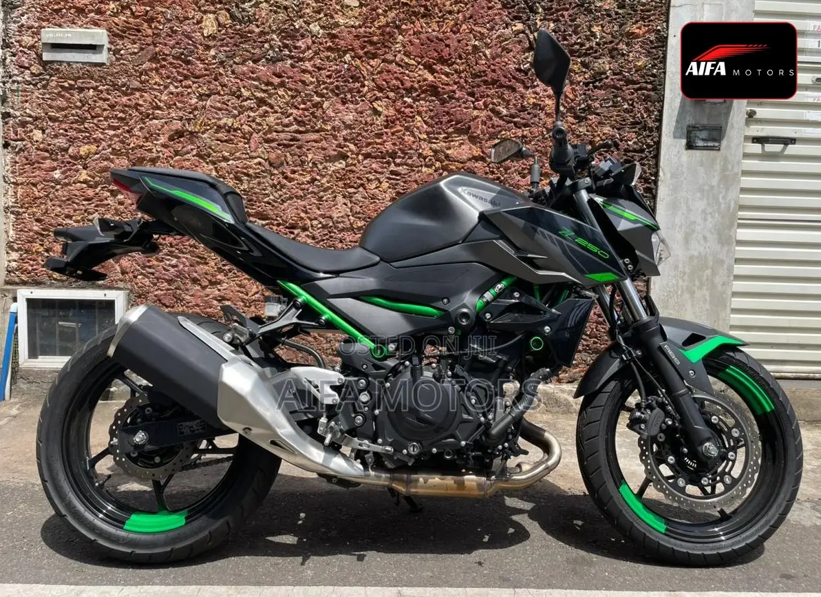 New Kawasaki 2025 Gray
