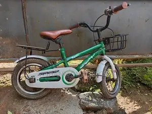 Kids Bicycle 10"