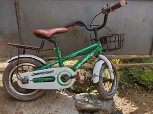 Kids Bicycle 10"