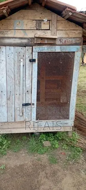 Pet Cage