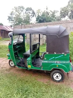 Bajaj RE 2 stork 2006