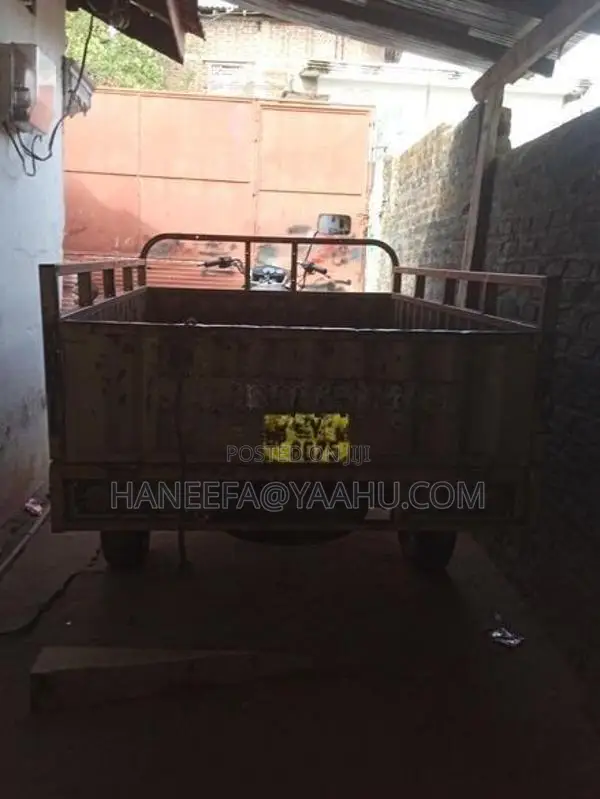 motor baike tricycle 2017