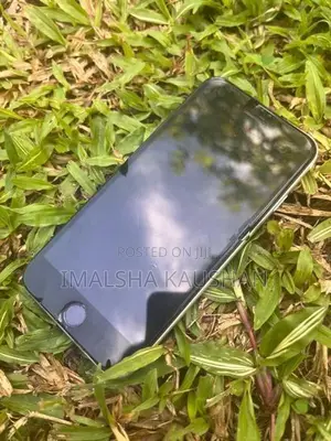 Apple iPhone SE 2 (Used)