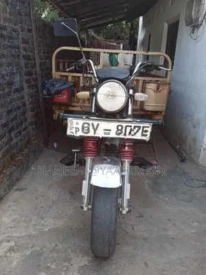 motor baike tricycle 2017
