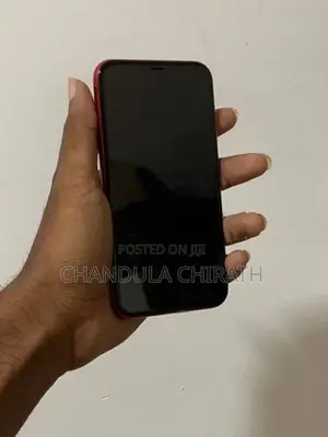 Apple iPhone 11 128GB (Used)