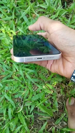 Apple iPhone 13 256GB (Used)