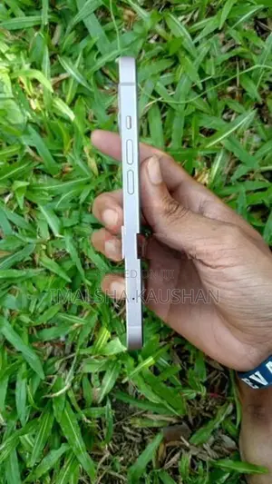 Apple iPhone 13 256GB (Used)