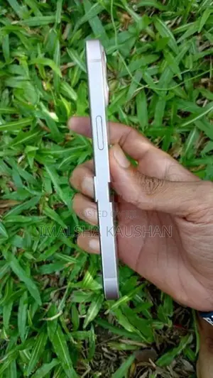 Apple iPhone 13 256GB (Used)